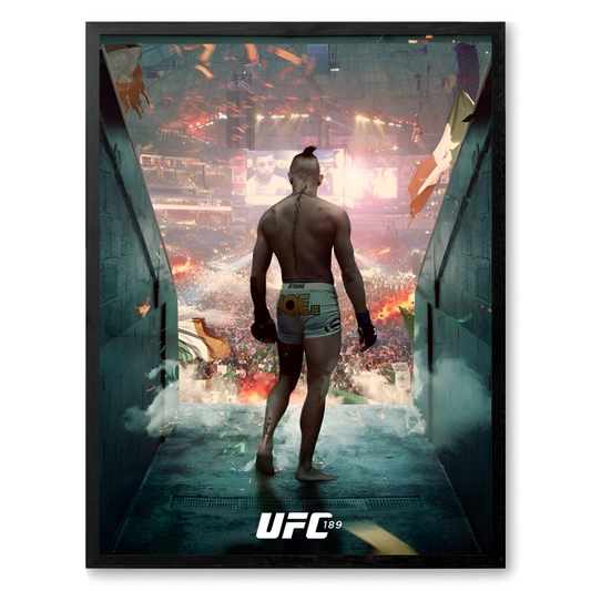 UFC 189